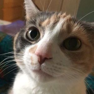 Meet your Posher, Juliana